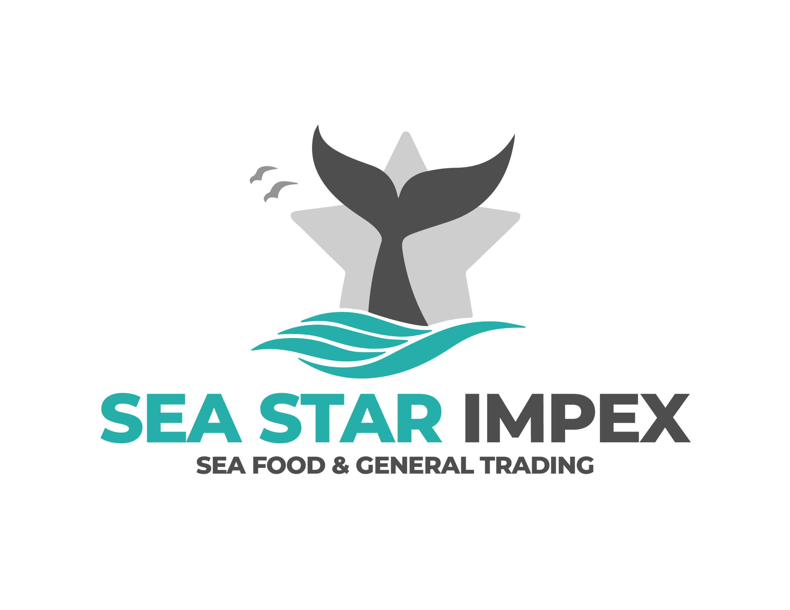 SEA STAR IMPEX GLOBAL COMPANY
