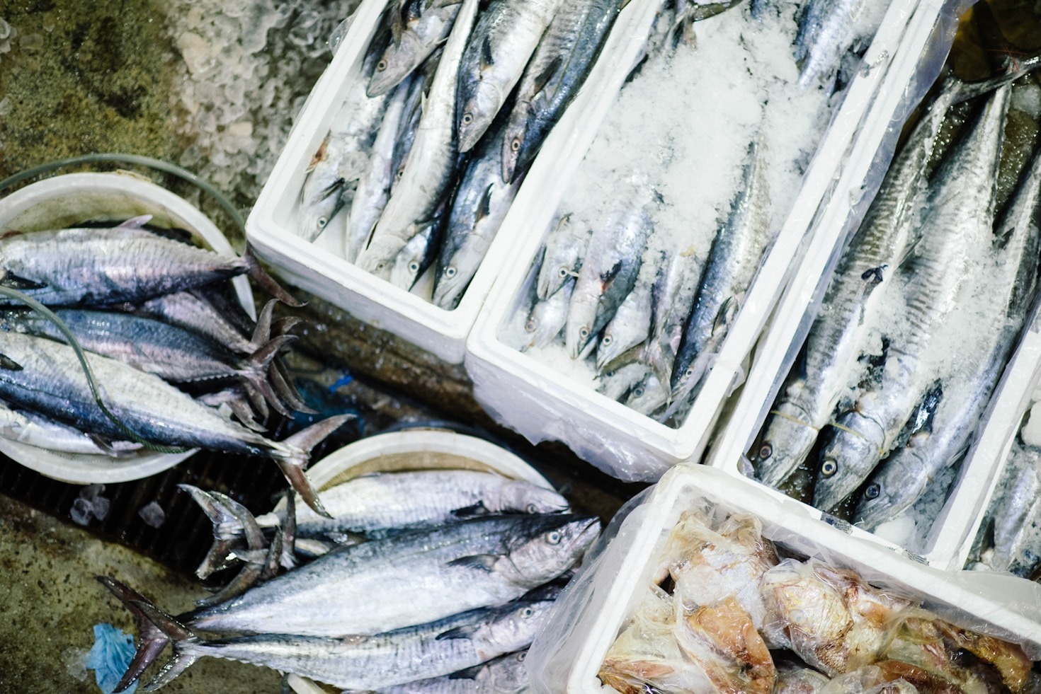 5 Benefits of Choosing Premium Seafood Suppliers