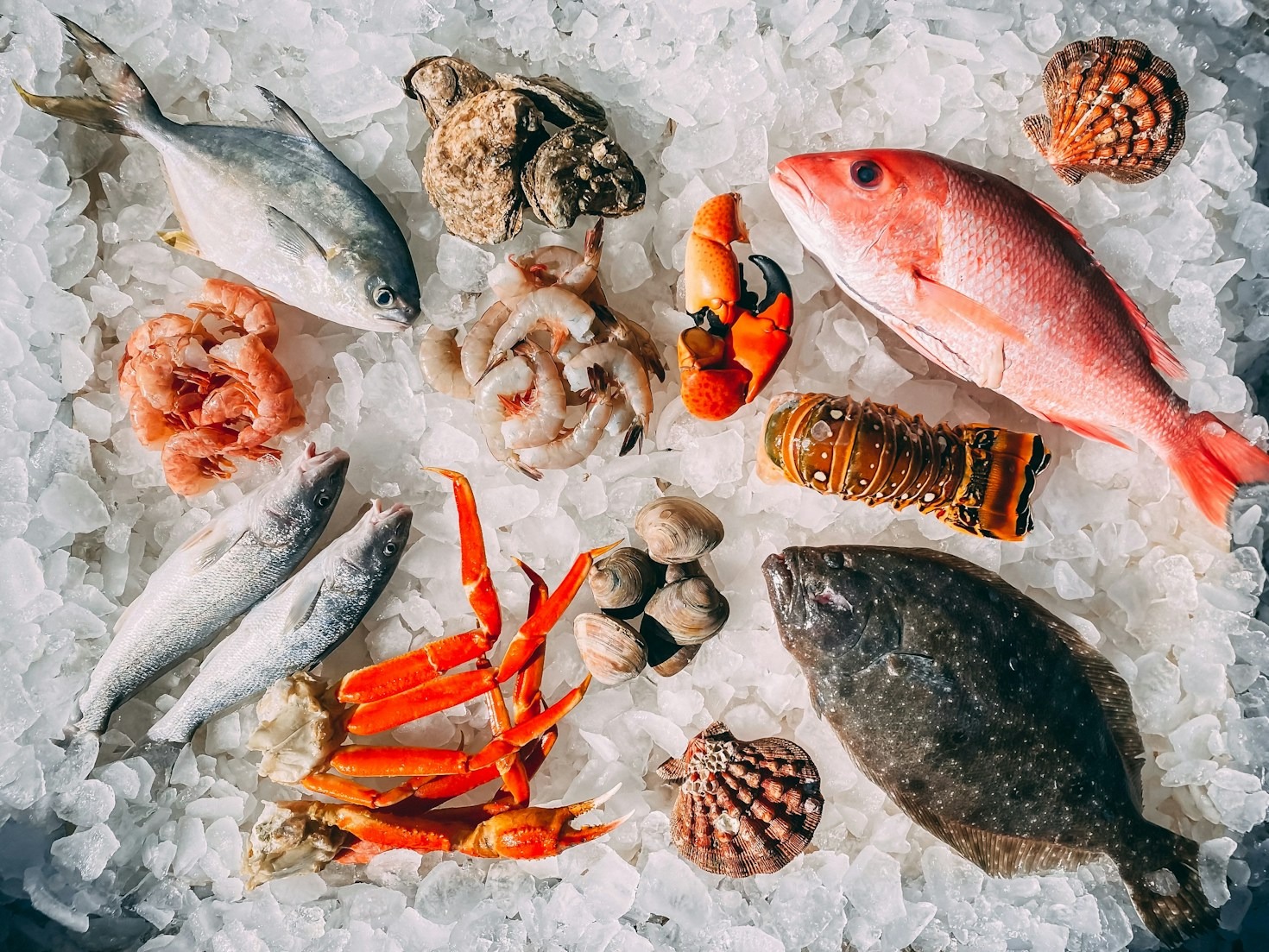 How SEA STAR IMPEX GLOBAL Ensures Seafood Quality